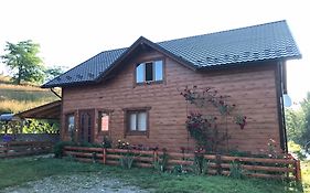 Карпатська перлина
